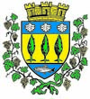 Blason du Tourne