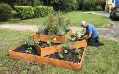 Les bacs comestibles fleurissent au Tourne