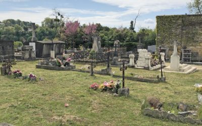 Le cimetière en transition