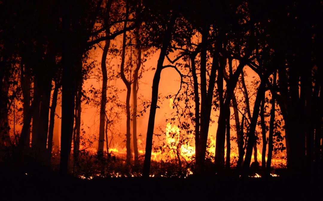 Incendie : Appel au bénévolat