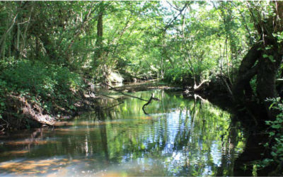 L’entretien des berges de l’Estey : le rôle de chacun