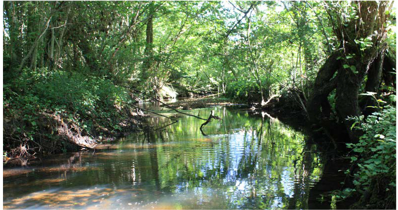 L’entretien des berges de l’Estey : le rôle de chacun