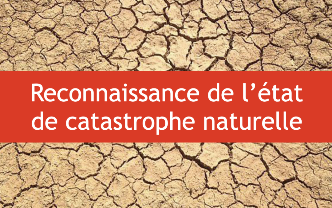 Sêcheresse 2022 : Reconnaissance catastrophe naturelle