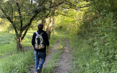 Deux sentiers de randonnées au départ du Tourne