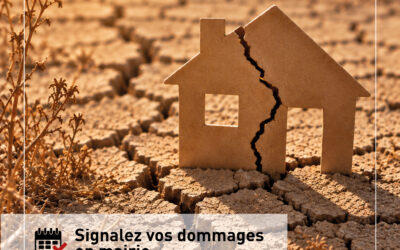 Sécheresse 2026 : Recensement des dommages